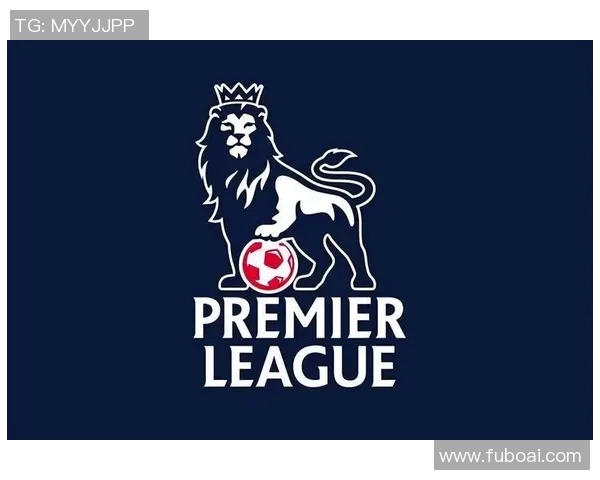 英超球队票价：英超比赛的票价标准与购买指南